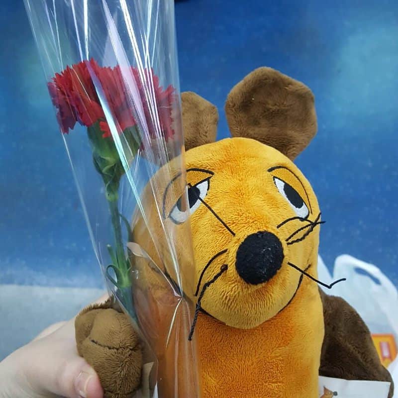 maus-reisen.de - Die Maus wird eine Schülerin!?